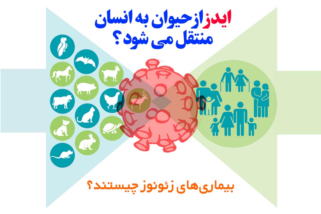 hiv از حیوان به انسان منتقل می شود
