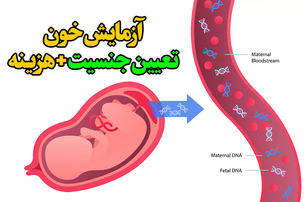 هزینه آزمایش خون تعیین جنسیت