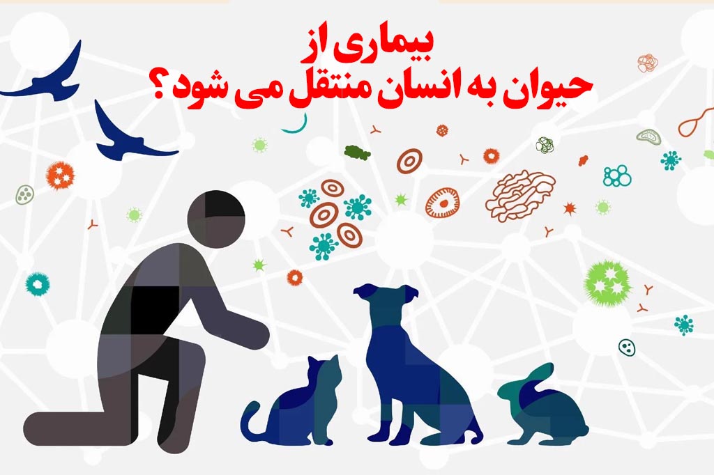 انتقال بیماری از حیوان به انسان