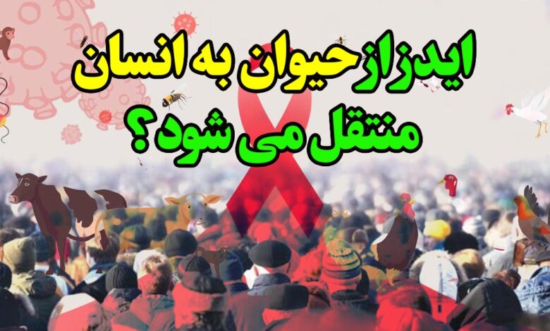 ایدز از حیوان به انسان منتقل می شود