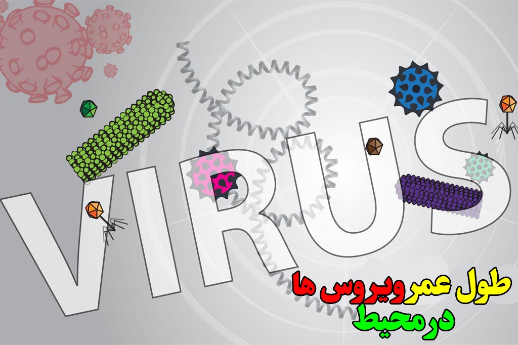 عمر ویروس ها در محیط