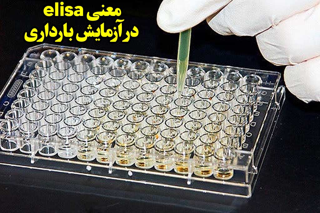 معنی elisa در آزمایش بارداری