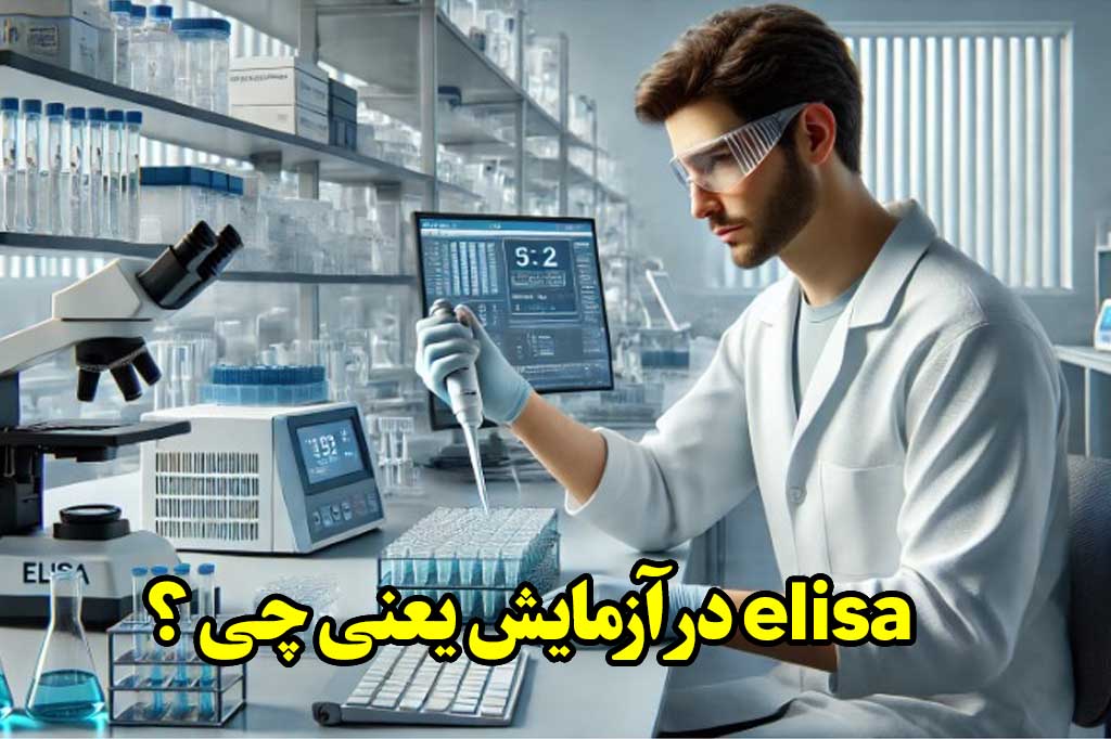 معنی elisa چیست