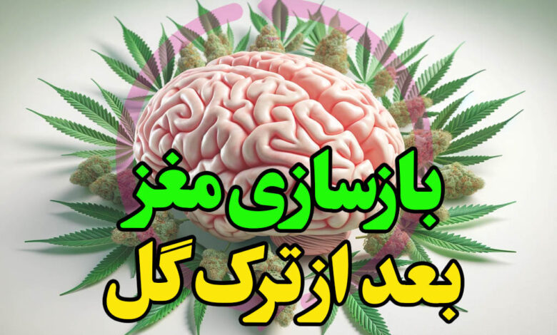 بازسازی مغز بعد از ترک گل