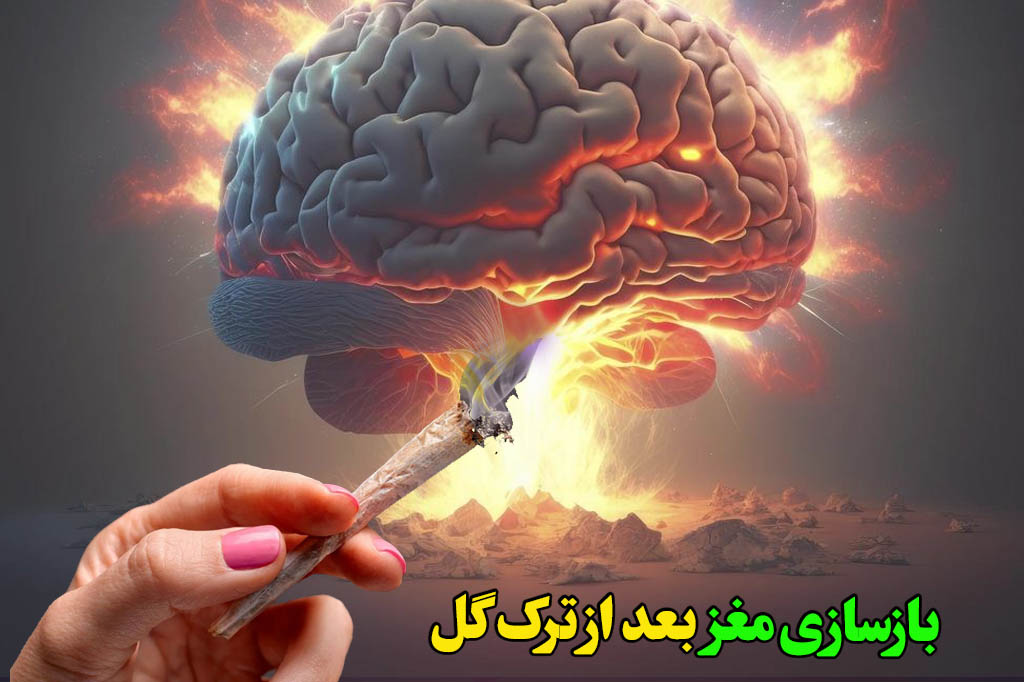 بازسازی مغز بعد ترک ماریجوانا