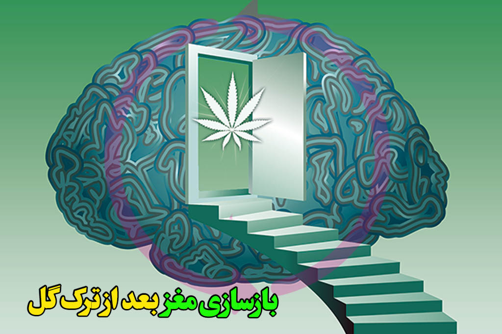 بازسازی مغز بعد ترک گل