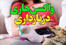 واکسن هاری در بارداری