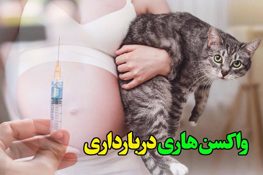 واکسیناسیون هاری در بارداری