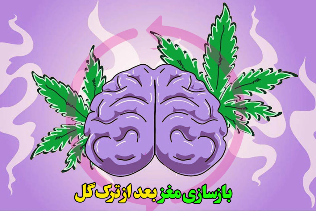 آیا مصرف گل باعث آلزایمر زودرس میشود؟