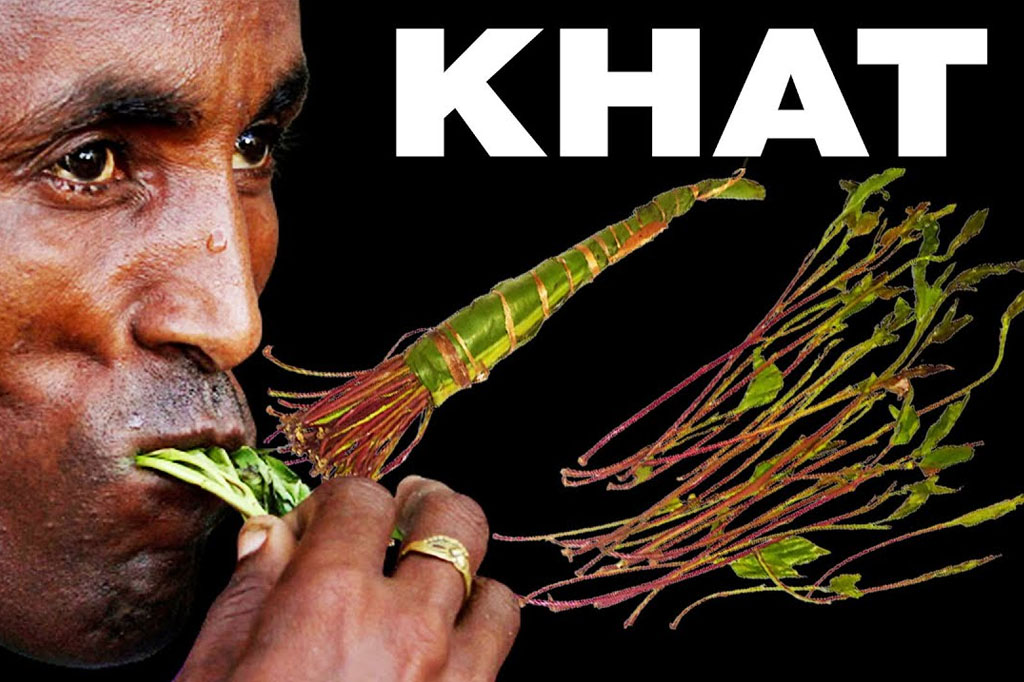 شکل مصرف قات