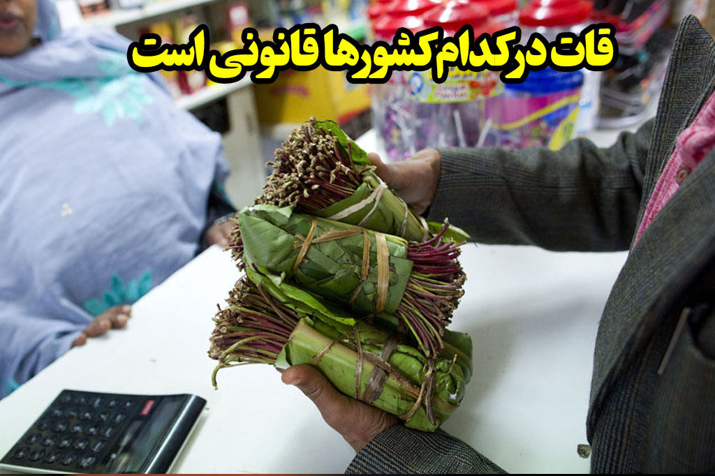 قات در کدام کشور قانونی است