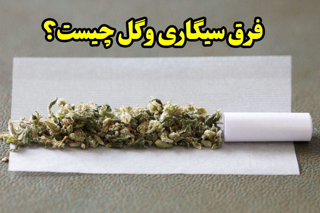 تفاوت سیگاری و گل