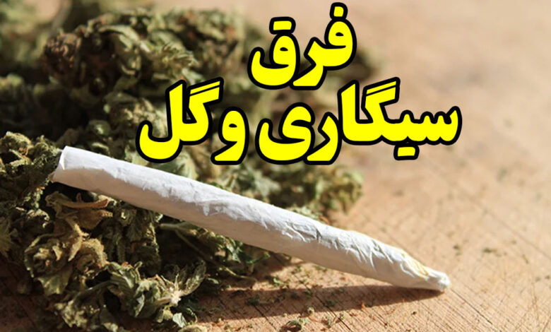 فرق سیگاری و گل چیست