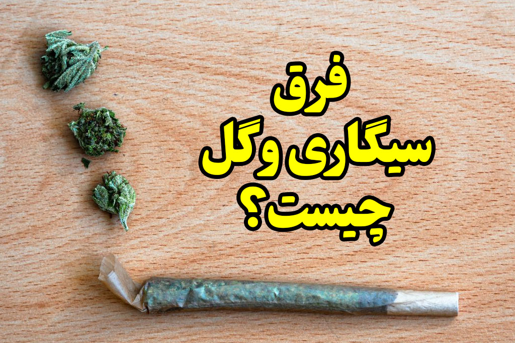 فرق گل و سیگاری