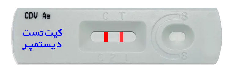 کیت دیستمپر