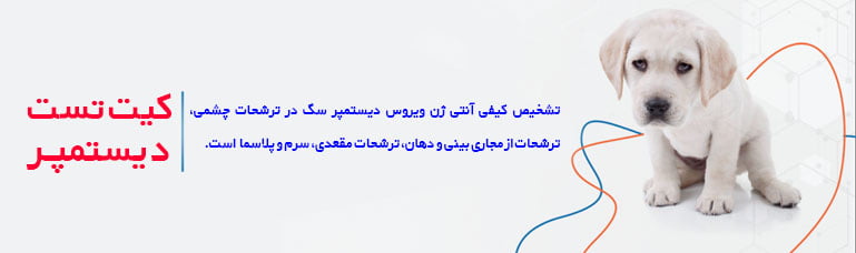 تفسیر کیت cdv سگ