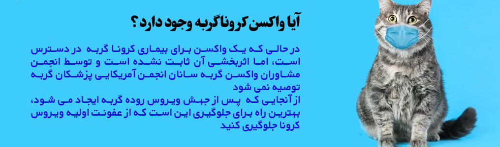 واکسن بیماری کرونا گربه fcov