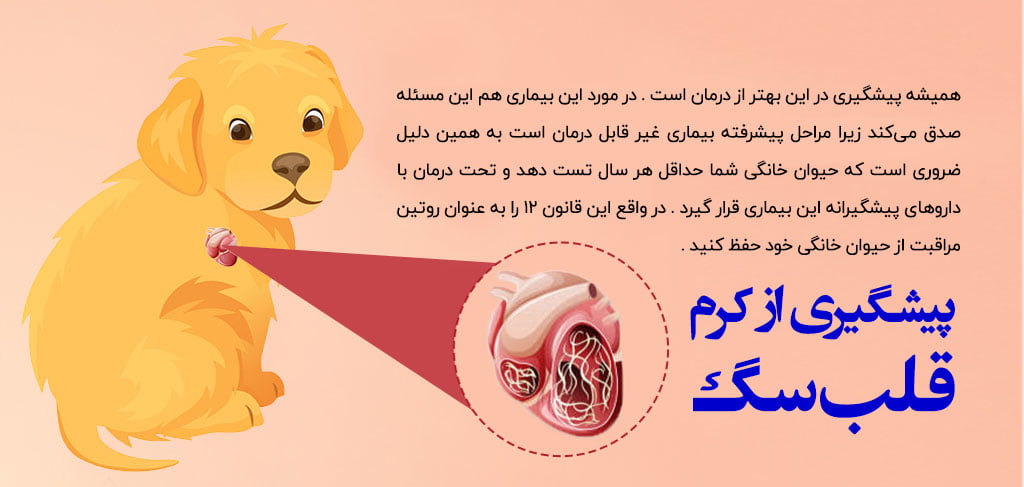 پیشگیری از کرم قلب سگ